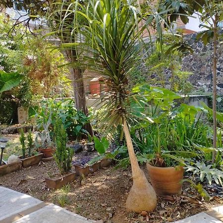 Villa Linda Casa En Tepoztlan Centro 1 Esterno foto