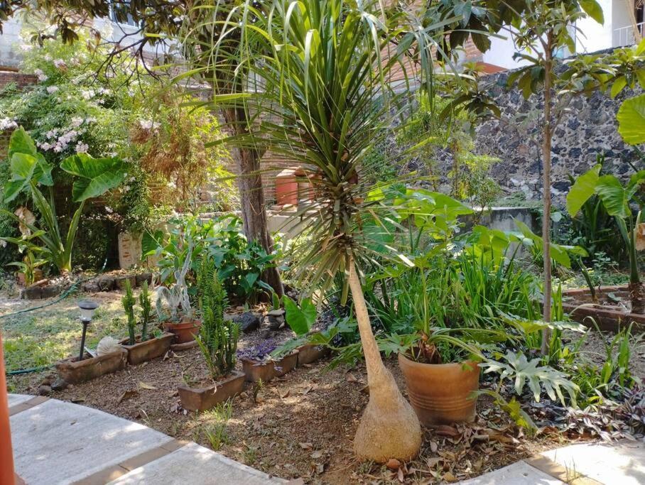 Villa Linda Casa En Tepoztlan Centro 1 Esterno foto